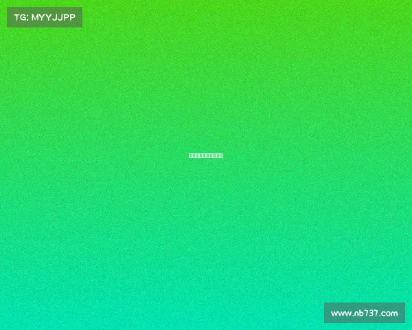 恒安电子商务有限公司